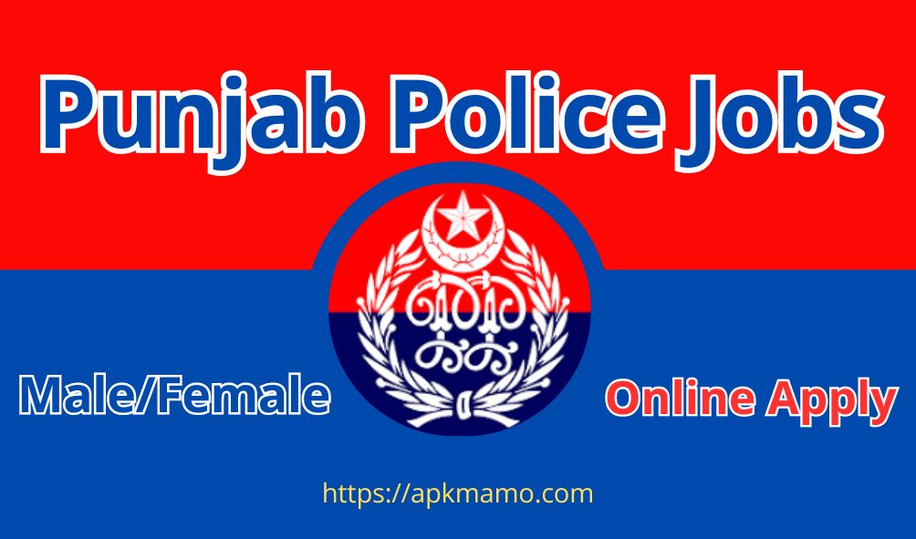 Punjab Police Job