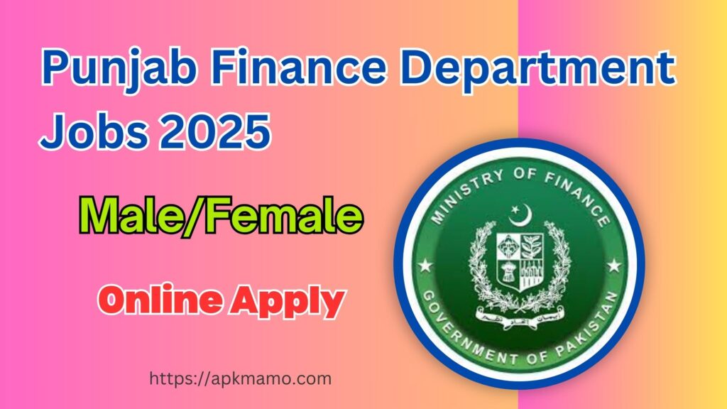 Punjab Finance Department Job