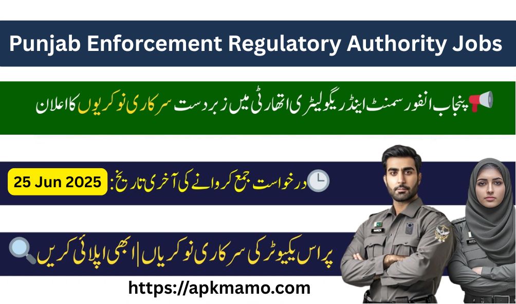Punjab Enforcement Regulatory Authority Jobs