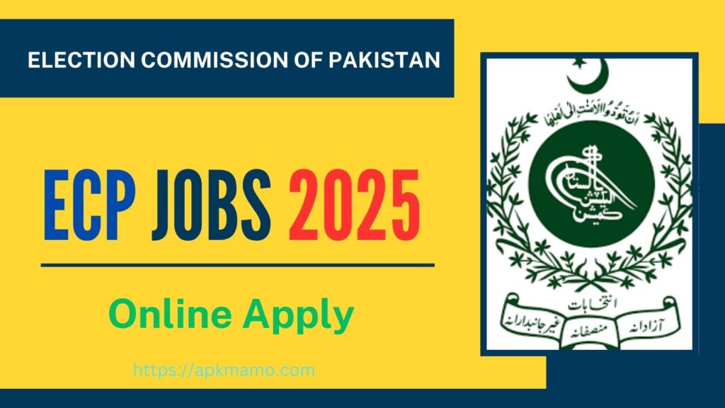 ECP Punjab Jobs